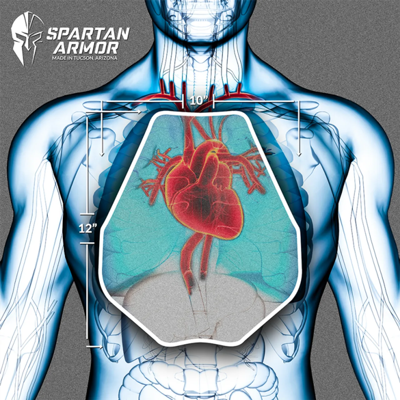 Spartan Armor Systems - AR550 Steel Body Armor – Rifle-Rated Plates (Set of 2) - Image 6